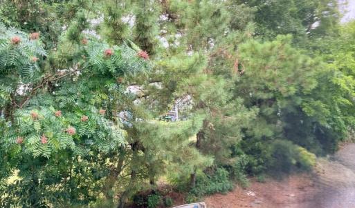 Photo #25 of 7075 BOND ST, CHINCOTEAGUE, VA 0.0 acres