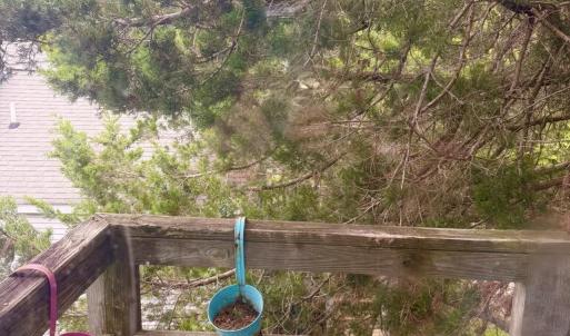 Photo #34 of 7075 BOND ST, CHINCOTEAGUE, VA 0.0 acres