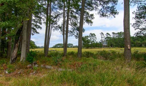 Photo #22 of 26119 JUNO COURT, ACCOMAC, VA 3.3 acres