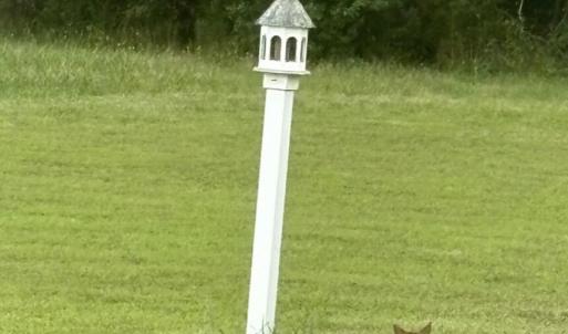 Photo #26 of 26119 JUNO COURT, ACCOMAC, VA 3.3 acres