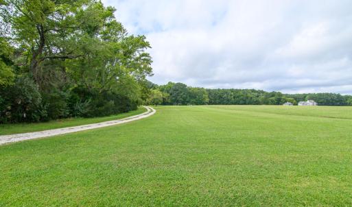 Photo #5 of 26119 JUNO COURT, ACCOMAC, VA 3.3 acres