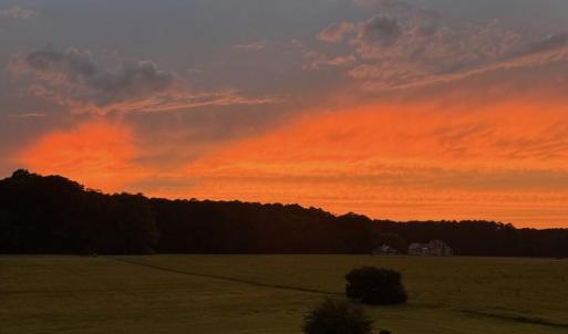 Photo #66 of 26119 JUNO COURT, ACCOMAC, VA 3.3 acres