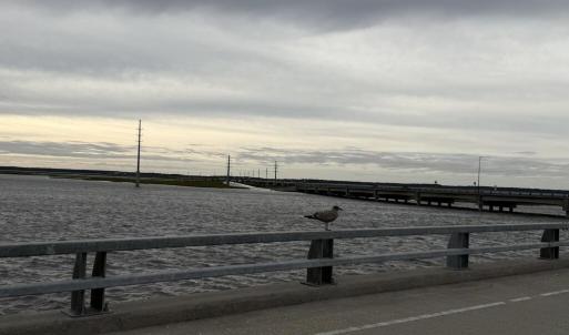 Photo #79 of 6139 MARSH ISLAND DR, CHINCOTEAGUE, VA 0.0 acres