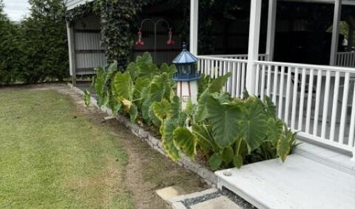 Photo #14 of 31402 CURRATUCK RD, PAINTER, VA 1.0 acres