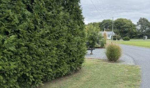 Photo #8 of 31402 CURRATUCK RD, PAINTER, VA 1.0 acres