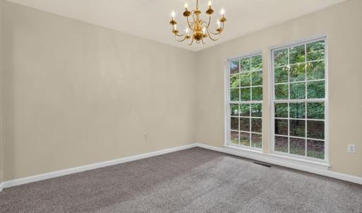 Photo #10 of 4069 CAPTAINS CORRIDOR, GREENBACKVILLE, VA 65.0 acres