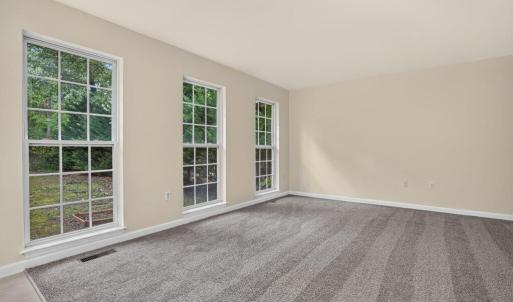 Photo #12 of 4069 CAPTAINS CORRIDOR, GREENBACKVILLE, VA 65.0 acres