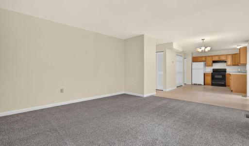 Photo #14 of 4069 CAPTAINS CORRIDOR, GREENBACKVILLE, VA 65.0 acres