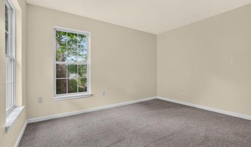 Photo #35 of 4069 CAPTAINS CORRIDOR, GREENBACKVILLE, VA 65.0 acres