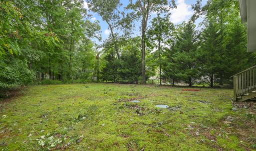 Photo #36 of 4069 CAPTAINS CORRIDOR, GREENBACKVILLE, VA 65.0 acres
