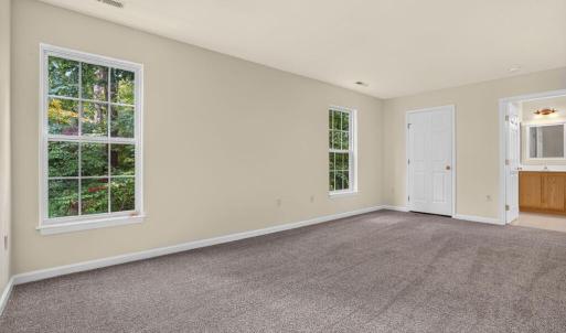 Photo #29 of 4069 CAPTAINS CORRIDOR, GREENBACKVILLE, VA 65.0 acres