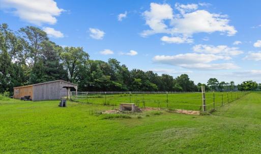 Ram Fencing in Pasture