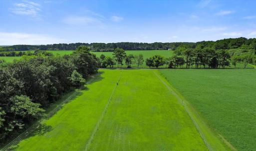 Aerial View of Property