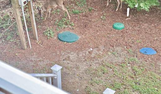 Photo #59 of 7705 EAST SIDE RD, CHINCOTEAGUE, VA 0.3 acres