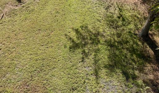 Photo #60 of 7705 EAST SIDE RD, CHINCOTEAGUE, VA 0.3 acres