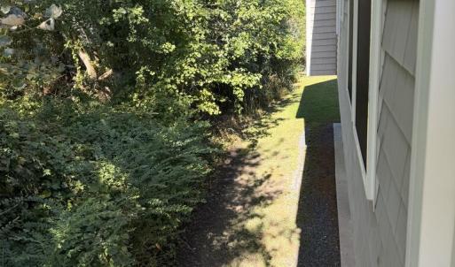 Photo #49 of 7705 EAST SIDE RD, CHINCOTEAGUE, VA 0.3 acres