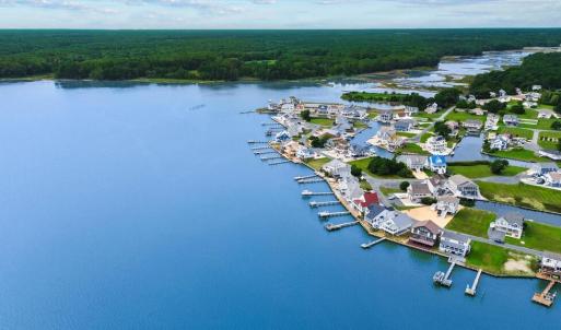 Aerial Views