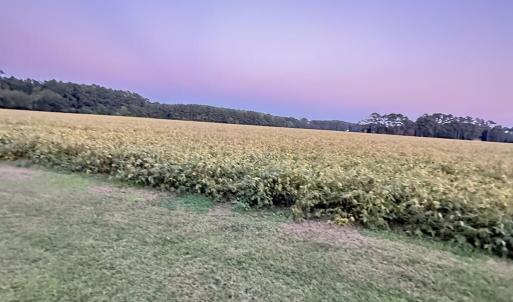 Photo #17 of 26254 BAYLYS NECK RD, ACCOMAC, VA 54.5 acres
