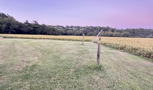 Photo #18 of 26254 BAYLYS NECK RD, ACCOMAC, VA 54.5 acres