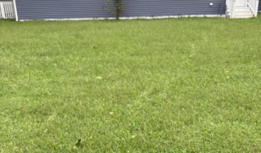 Photo #22 of 19253 LANKFORD HWY, PARKSLEY, VA 0.4 acres