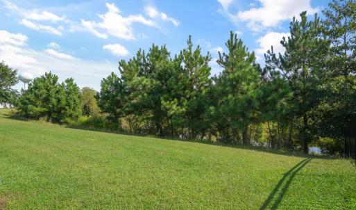 Photo #43 of 3150 NAVIGATOR DR, GREENBACKVILLE, VA 70.0 acres