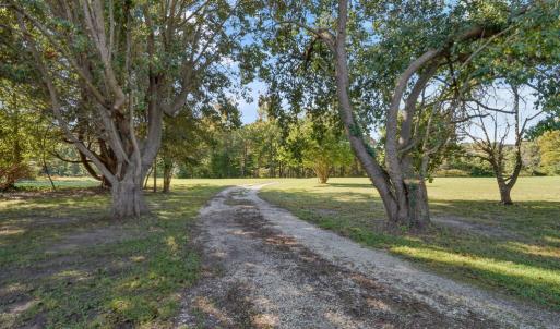 Photo #3 of 17591 SAINT THOMAS RD, PARKSLEY, VA 26.8 acres
