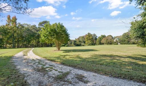 Photo #49 of 17591 SAINT THOMAS RD, PARKSLEY, VA 26.8 acres