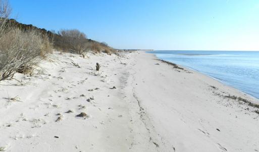 Neighborhood beach
