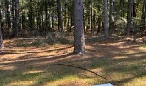 Photo #24 of 3005 SLOOP CT, GREENBACKVILLE, VA 0.2 acres
