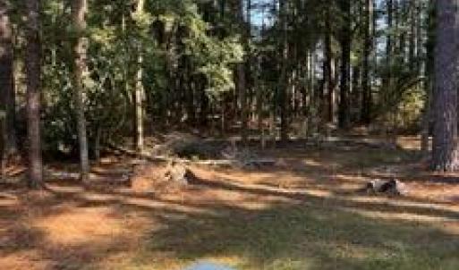 Photo #27 of 3005 SLOOP CT, GREENBACKVILLE, VA 0.2 acres