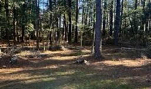 Photo #28 of 3005 SLOOP CT, GREENBACKVILLE, VA 0.2 acres