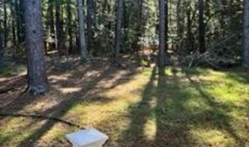 Photo #29 of 3005 SLOOP CT, GREENBACKVILLE, VA 0.2 acres