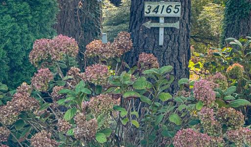 Photo #61 of 34165 HYSLOP LN, CRADDOCKVILLE, VA 5.1 acres