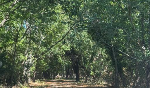 Photo #62 of 34165 HYSLOP LN, CRADDOCKVILLE, VA 5.1 acres