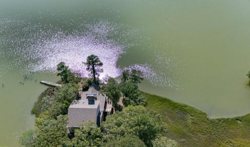 Photo #85 of 34165 HYSLOP LN, CRADDOCKVILLE, VA 5.1 acres