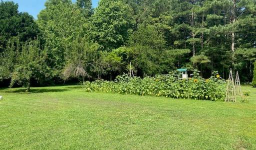Photo #25 of 27358 EVERGREEN LN, MELFA, VA 3.0 acres