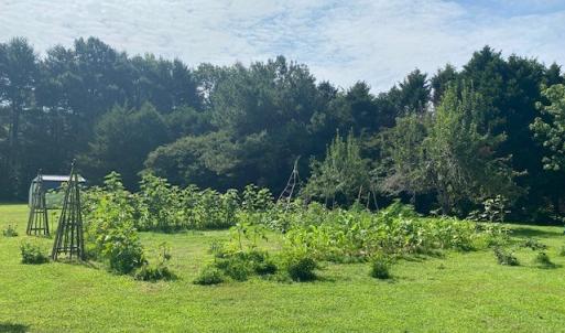Photo #36 of 27358 EVERGREEN LN, MELFA, VA 3.0 acres