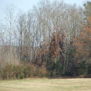 Photo of SOLD! - Timber Land for Sale in Warren County, NC