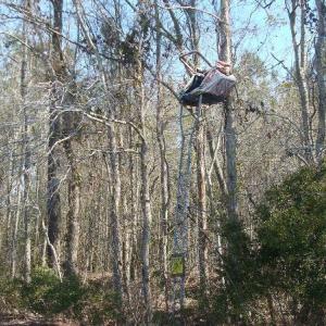Photo of UNDER CONTRACT!  58 Acres of Farm and Timber Land For Sale in Columbus County NC!