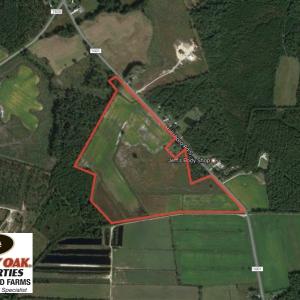 Photo of UNDER CONTRACT!  58 Acres of Farm and Timber Land For Sale in Columbus County NC!