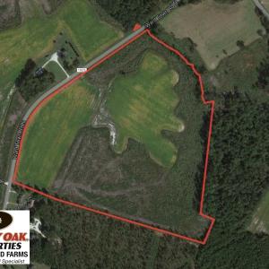 Photo of SOLD!  46 Acres of Farm and Timber Land For Sale in Columbus County NC!