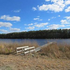 Photo of REDUCED!  287 Acres of Hunting Land With Buildable Lot For Sale in Hyde County NC!