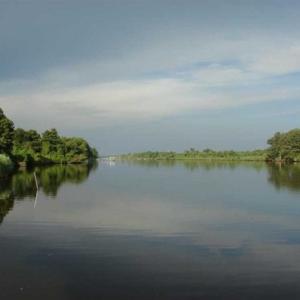 Photo of REDUCED!  287 Acres of Hunting Land With Buildable Lot For Sale in Hyde County NC!