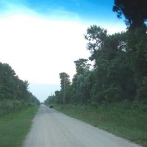 Photo of REDUCED!  287 Acres of Hunting Land With Buildable Lot For Sale in Hyde County NC!