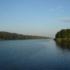 Photo of REDUCED!  287 Acres of Hunting Land With Buildable Lot For Sale in Hyde County NC!