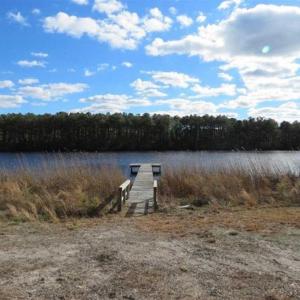 Photo of REDUCED!  287 Acres of Hunting Land With Buildable Lot For Sale in Hyde County NC!