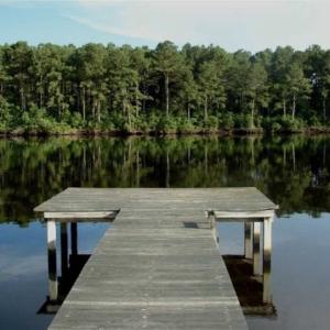 Photo of REDUCED!  287 Acres of Hunting Land With Buildable Lot For Sale in Hyde County NC!