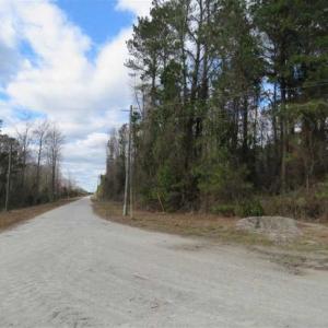 Photo of REDUCED!  287 Acres of Hunting Land With Buildable Lot For Sale in Hyde County NC!