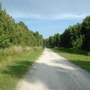 Photo of REDUCED!  287 Acres of Hunting Land With Buildable Lot For Sale in Hyde County NC!