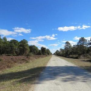 Photo of REDUCED!  287 Acres of Hunting Land With Buildable Lot For Sale in Hyde County NC!